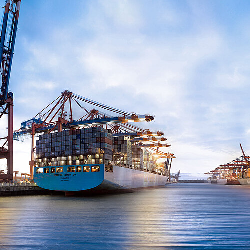 Container ships in Hamburg harbour,  www.mediaserver.hamburg.de / Andreas Vallbracht