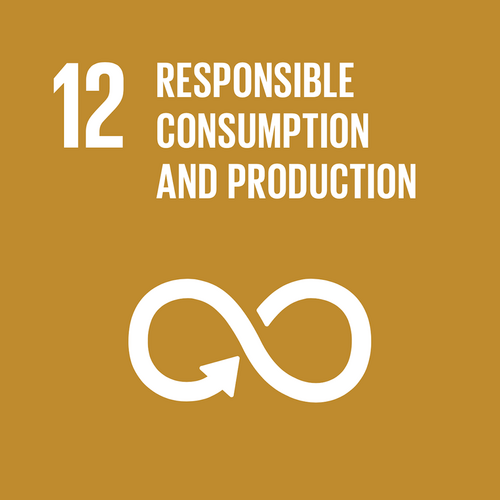 12 RESPONSIBLE CONSUMTION AND PRODUCTION 12 RESPONSIBLE CONSUMTION AND PRODUCTION